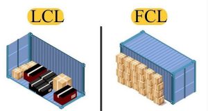 LCL và FCL là gì?