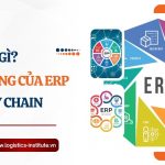 ERP là gì? ERP tác động đến supply chain như thế nào?