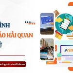 Quá trình khai báo hải quan điện tử hàng xuất VNACCS